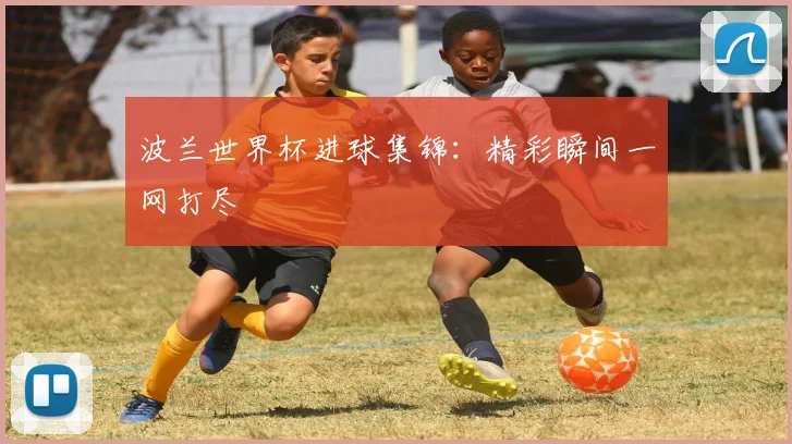 波兰世界杯进球集锦：精彩瞬间一网打尽