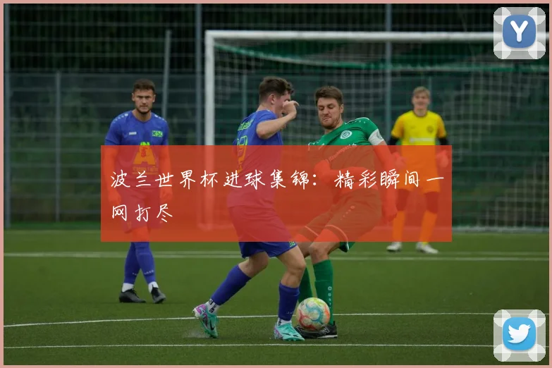 波兰世界杯进球集锦：精彩瞬间一网打尽