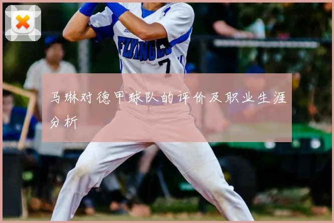 马琳对德甲球队的评价及职业生涯分析