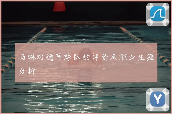 马琳对德甲球队的评价及职业生涯分析